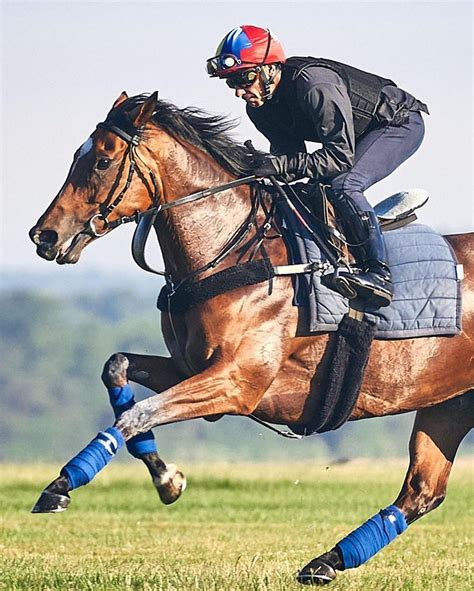 World Horse Racing .